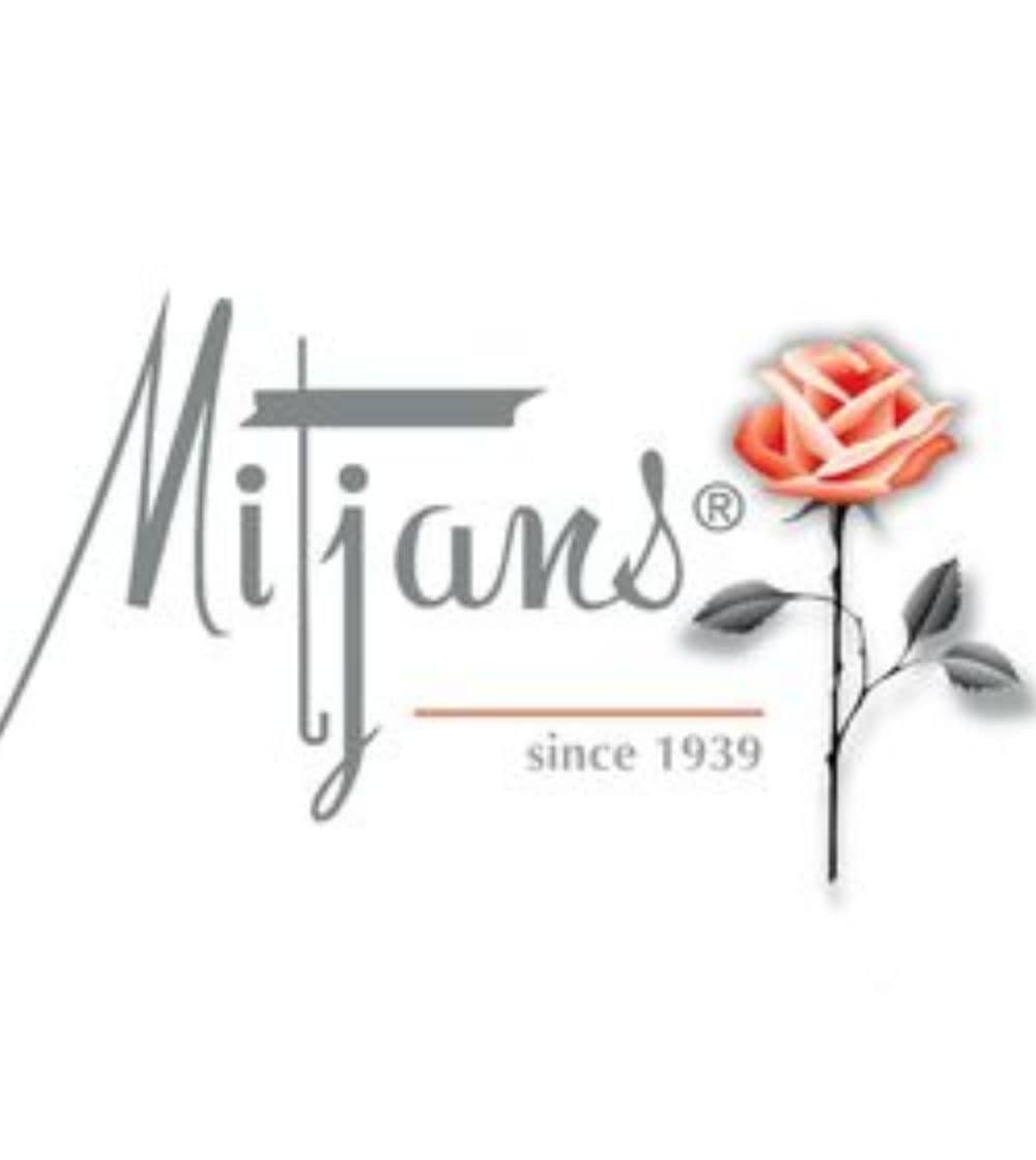 Mitjans