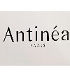 Antinèa